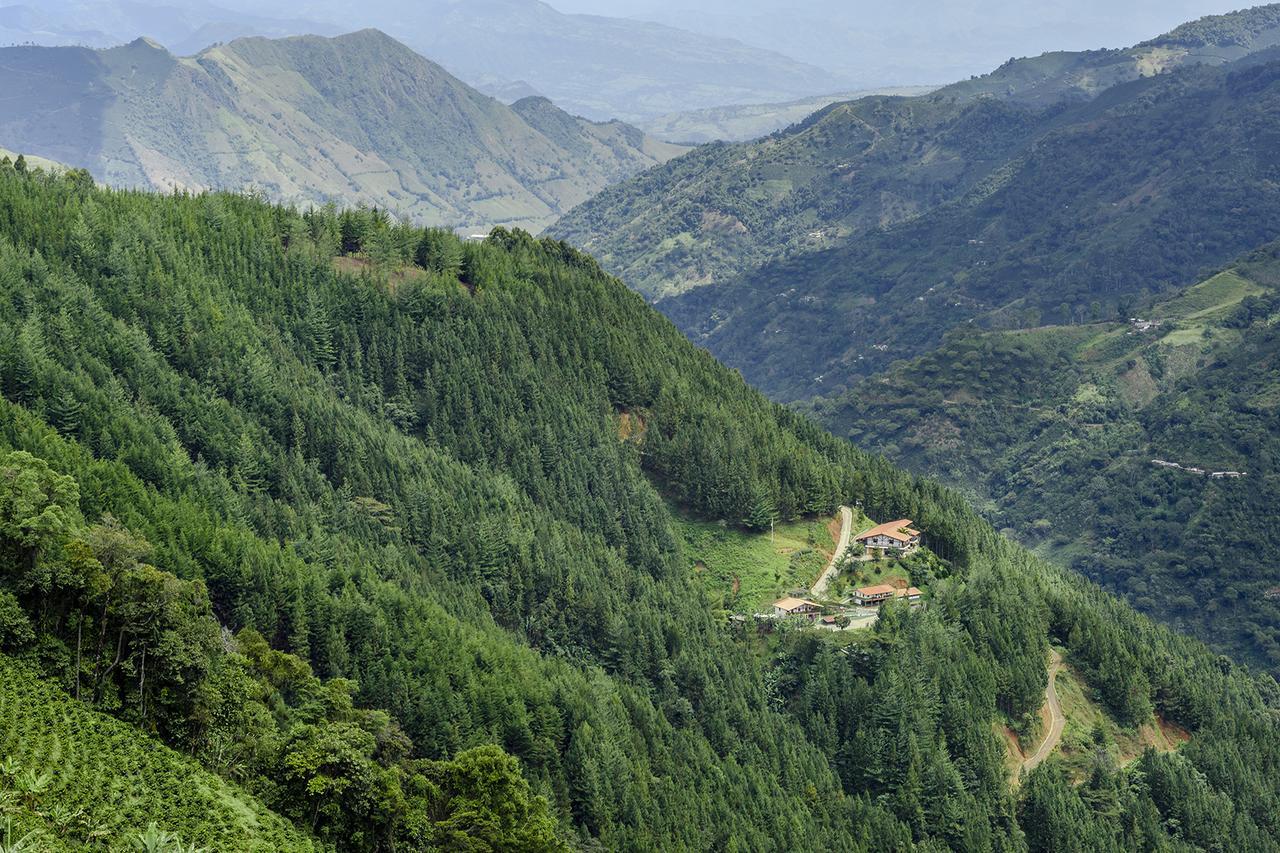 Finca Boutique El Diamante Salgar  Екстер'єр фото